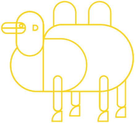 nh_tv_bactrian-camel